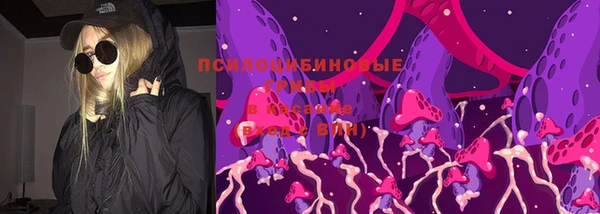 ешки Пролетарск