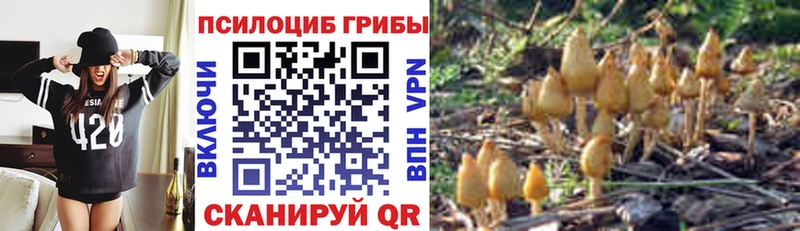 дарнет шоп  Сафоново  ОМГ ОМГ зеркало  Галлюциногенные грибы ЛСД 