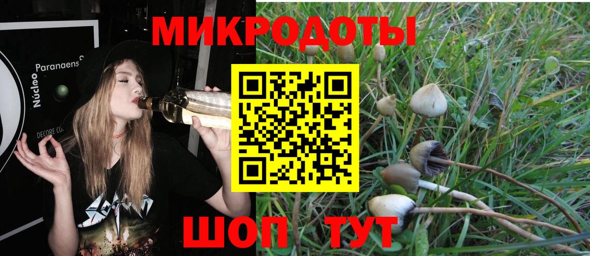 Галлюциногенные грибы прущие грибы  Вход с VPN  Сафоново 